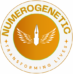 numerogenetic